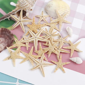 20pcs Nautical Table Star Crafts Miniatures Tank Aquarium Decoration Nautical Beach Coastal Themed Birthday Wedding Table