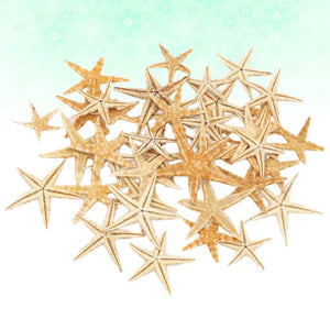 20pcs Nautical Table Star Crafts Miniatures Tank Aquarium Decoration Nautical Beach Coastal Themed Birthday Wedding Table